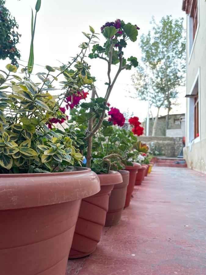 Gaywoo Guest House Leh Exterior photo