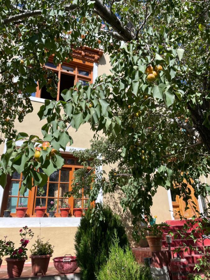 Gaywoo Guest House Leh Exterior photo