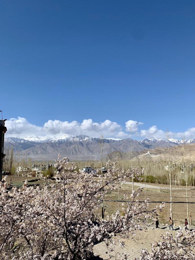Gaywoo Guest House Leh Exterior photo
